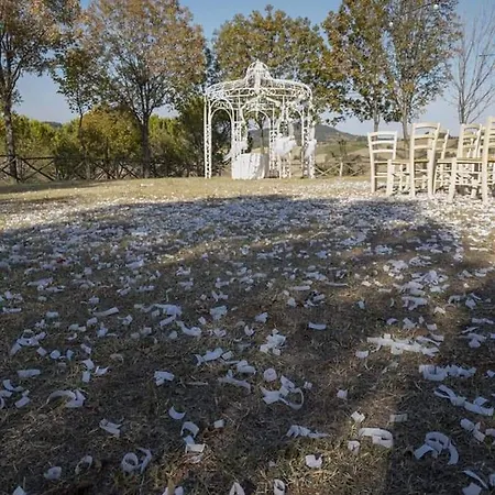 Πανσιόν Sogno Proibito *