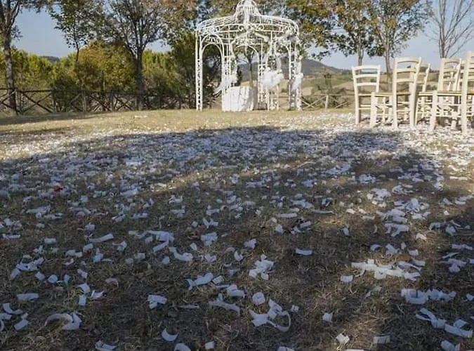 Affittacamere Sogno Proibito *